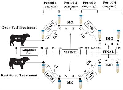 The effects of nutritional level and body condition score on cytokines in seminal plasma of beef bulls